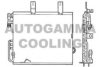 AUTOGAMMA 101573 Condenser, air conditioning